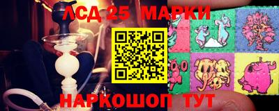 бошки Гатчина