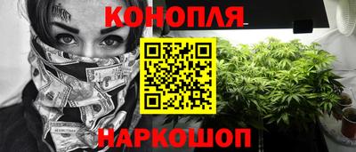 гашик Гай