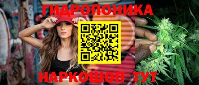 гашик Гай