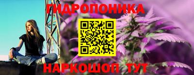 бошки Гатчина